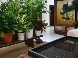 -至爱至信新中式SPA疗愈会所