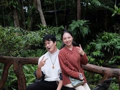-绿光森林餐厅