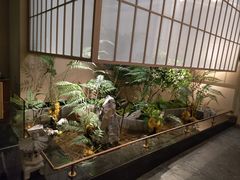 -鹤祥宫·影院足道·SPA连锁(苹果园店)