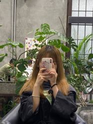 -大象造型