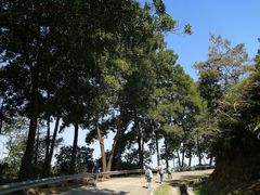 -风云岭森林公园