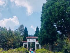 -江西阳明山国家森林公园