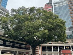 -大馆(前中区警署建築群)