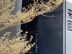 -来回·咖啡(钟村咖啡豆店)