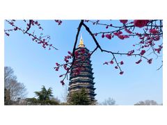 -红梅公园