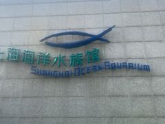 -上海海洋水族馆