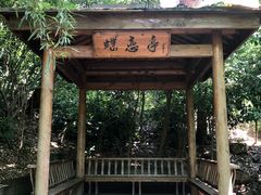 -天目湖山水园
