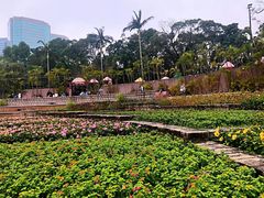 -九龙公园