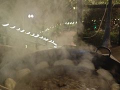 -楠柏弯休闲山庄(梨花溪店)