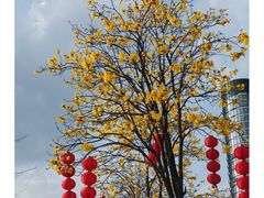 -洲头咀公园