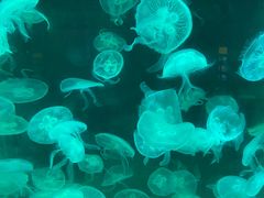 -福州罗源湾海洋世界旅游区