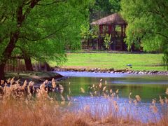 -北京麋鹿生态实验中心
