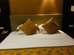 -华雅花园大酒店