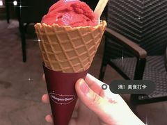 -哈根达斯(石家庄北国店)