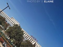 -上海大学(嘉定校区)