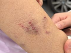 -西岭雪山大飞水景区