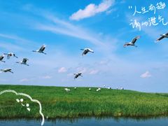 -黑龙江扎龙生态旅游区
