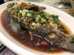 -峡谷农家乐饭店