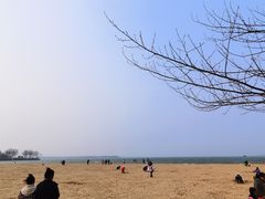 -瑶湖郊野森林公园