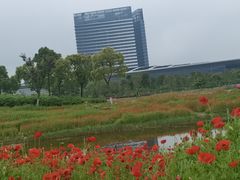 -春花秋色城市公园