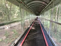 -香炉山国家森林公园