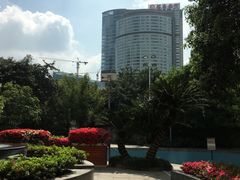 -岷山饭店-芝芝自助餐厅