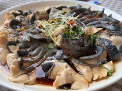 -京北渔家傲