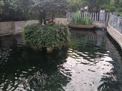 -千滋百味·醉江澜花园餐厅(街道口店)