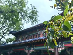 -灵谷景区