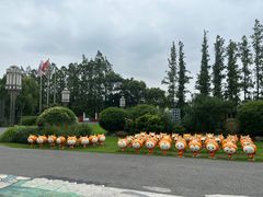 -上海长兴岛郊野公园