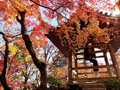 -常寂光寺