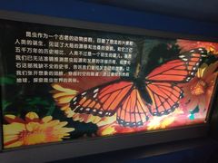 -上海昆虫博物馆