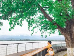 -西昌邛海宾馆