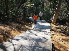 -水濂山森林公园