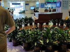 -上海交通大学医学院附属瑞金医院(总院)
