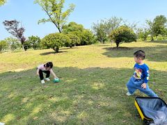 -漕湖湿地公园