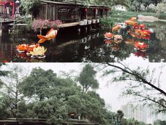 -荔湾湖公园