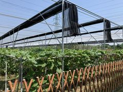 -迪茵湖田家舍生态农场
