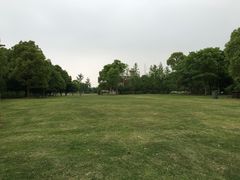 -梁鸿国家湿地公园