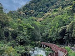 -广州市石门国家森林公园