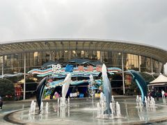 -海合安成都极地海洋公园