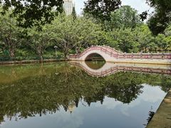 -深圳龙潭公园