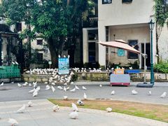 -赤坎·广东华侨国际旅游度假区