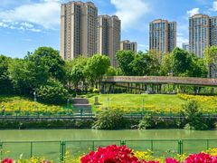 -府河摄影公园