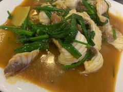 -鸽鸟轩(石岐店)
