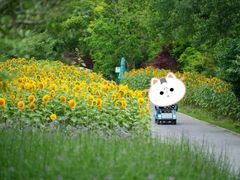 -花开海上生态园