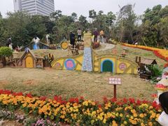 -深圳野生动物园