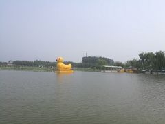 -白洋淀景区