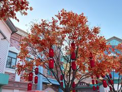 -沈阳方特欢乐世界