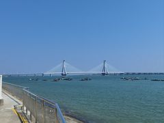 -北海金海湾红树林生态旅游区